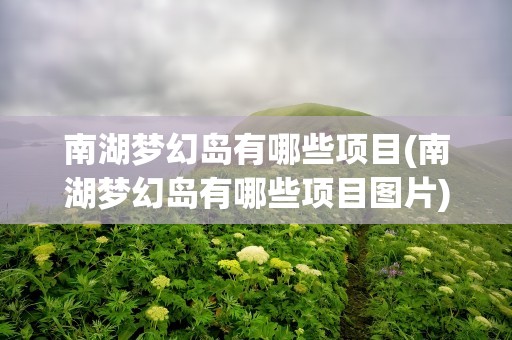 南湖梦幻岛有哪些项目(南湖梦幻岛有哪些项目图片)