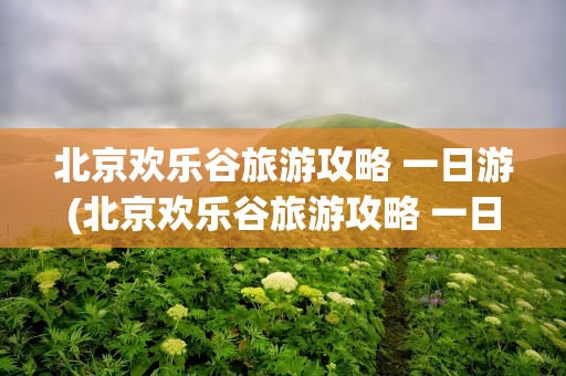 北京欢乐谷旅游攻略 一日游(北京欢乐谷旅游攻略 一日游路线)