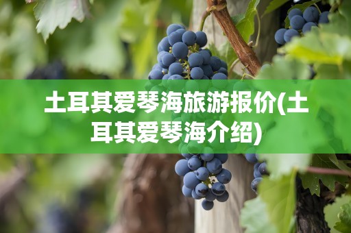 土耳其爱琴海旅游报价(土耳其爱琴海介绍)