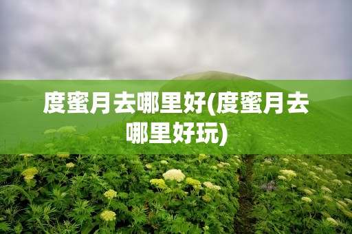 度蜜月去哪里好(度蜜月去哪里好玩)