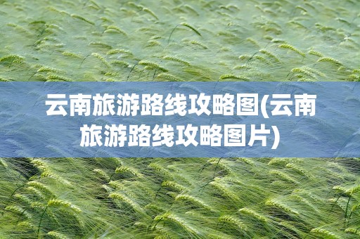 云南旅游路线攻略图(云南旅游路线攻略图片)