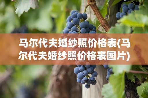 马尔代夫婚纱照价格表(马尔代夫婚纱照价格表图片)