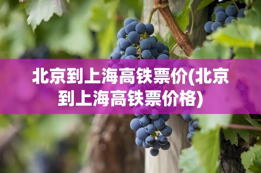 北京到上海高铁票价(北京到上海高铁票价格)