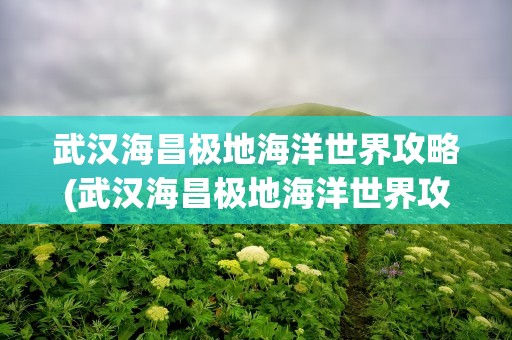武汉海昌极地海洋世界攻略(武汉海昌极地海洋世界攻略图)