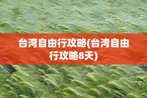 台湾自由行攻略(台湾自由行攻略8天)