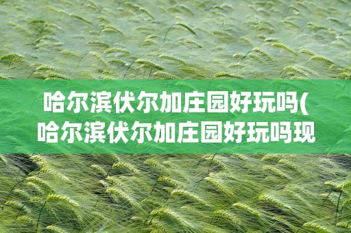 哈尔滨伏尔加庄园好玩吗(哈尔滨伏尔加庄园好玩吗现在)