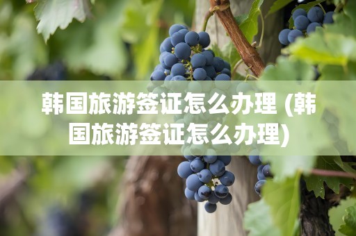 韩国旅游签证怎么办理 (韩国旅游签证怎么办理)