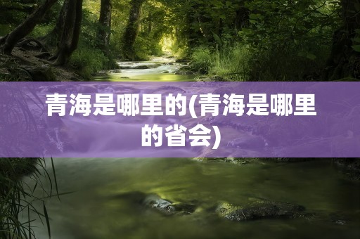 青海是哪里的(青海是哪里的省会)