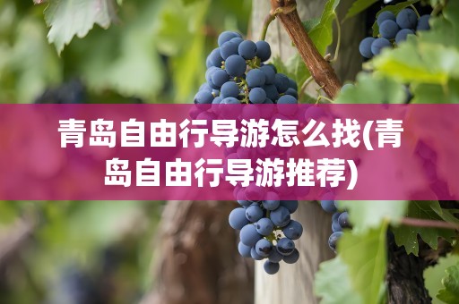 青岛自由行导游怎么找(青岛自由行导游推荐)