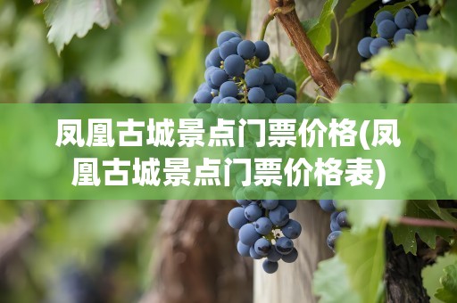凤凰古城景点门票价格(凤凰古城景点门票价格表)
