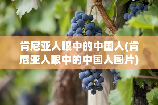 肯尼亚人眼中的中国人(肯尼亚人眼中的中国人图片)