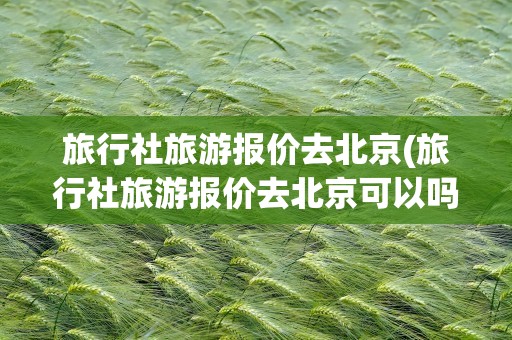 旅行社旅游报价去北京(旅行社旅游报价去北京可以吗)