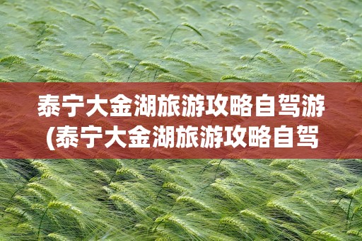 泰宁大金湖旅游攻略自驾游(泰宁大金湖旅游攻略自驾游路线)