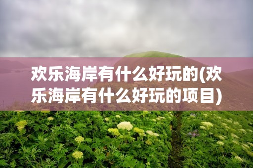欢乐海岸有什么好玩的(欢乐海岸有什么好玩的项目)