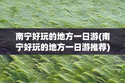 南宁好玩的地方一日游(南宁好玩的地方一日游推荐)