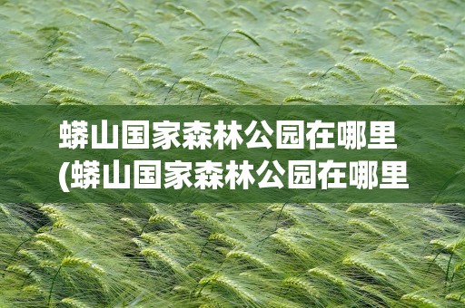 蟒山国家森林公园在哪里 (蟒山国家森林公园在哪里)