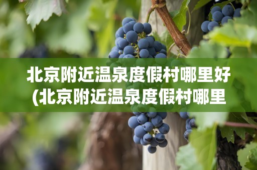 北京附近温泉度假村哪里好(北京附近温泉度假村哪里好一)
