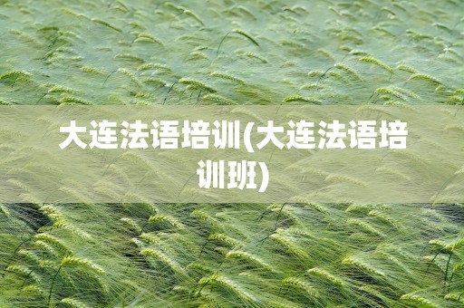 大连法语培训(大连法语培训班)