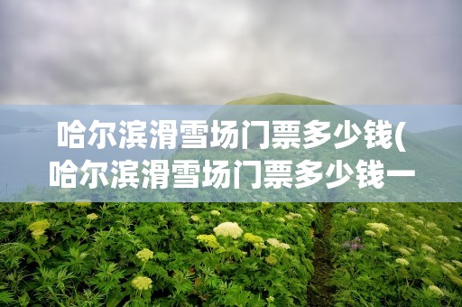 哈尔滨滑雪场门票多少钱(哈尔滨滑雪场门票多少钱一张)