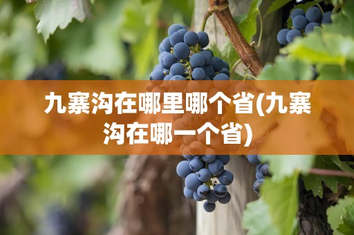 九寨沟在哪里哪个省(九寨沟在哪一个省)