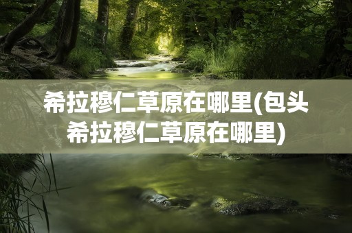 希拉穆仁草原在哪里(包头希拉穆仁草原在哪里)