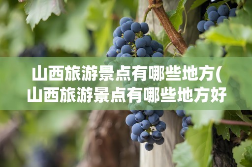 山西旅游景点有哪些地方(山西旅游景点有哪些地方好玩)