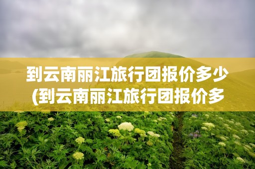 到云南丽江旅行团报价多少(到云南丽江旅行团报价多少钱)