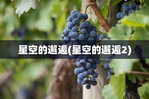 星空的邂逅(星空的邂逅2)