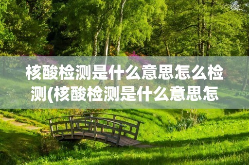 核酸检测是什么意思怎么检测(核酸检测是什么意思怎么检测的)