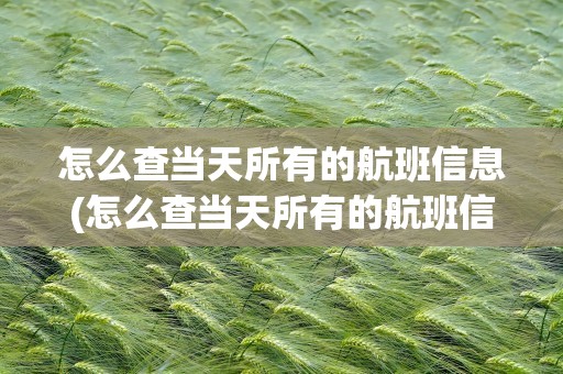 怎么查当天所有的航班信息(怎么查当天所有的航班信息呢)