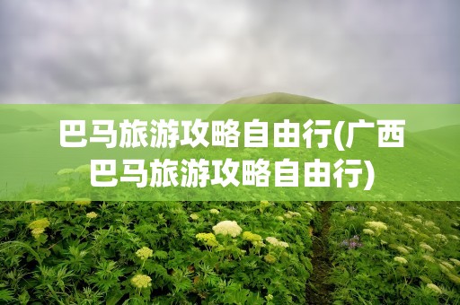 巴马旅游攻略自由行(广西巴马旅游攻略自由行)