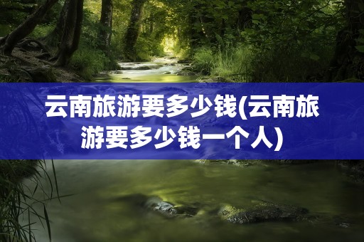 云南旅游要多少钱(云南旅游要多少钱一个人)