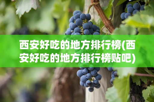 西安好吃的地方排行榜(西安好吃的地方排行榜贴吧)