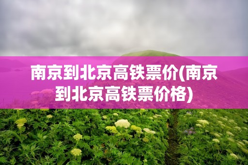 南京到北京高铁票价(南京到北京高铁票价格)