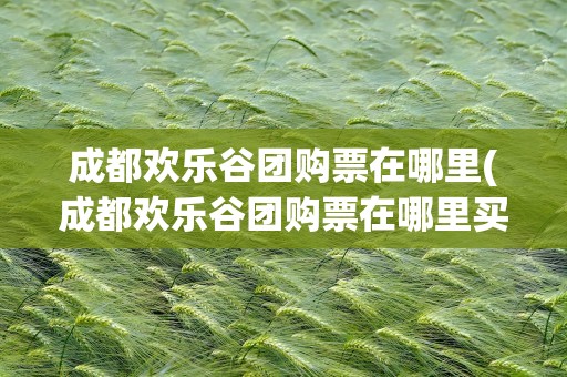 成都欢乐谷团购票在哪里(成都欢乐谷团购票在哪里买)