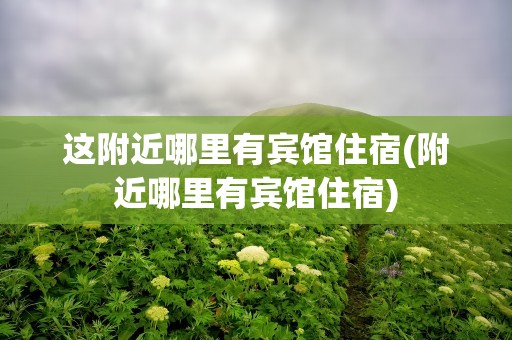 这附近哪里有宾馆住宿(附近哪里有宾馆住宿)
