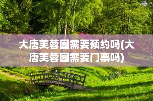 大唐芙蓉园需要预约吗(大唐芙蓉园需要门票吗)