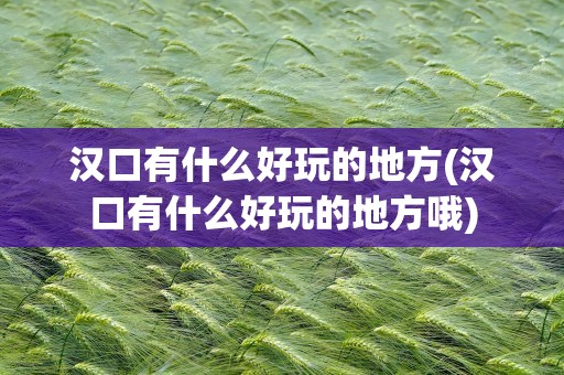 汉口有什么好玩的地方(汉口有什么好玩的地方哦)