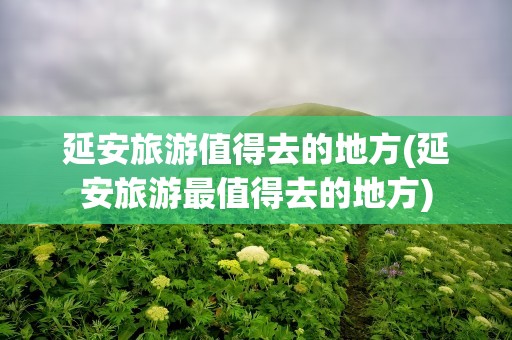 延安旅游值得去的地方(延安旅游最值得去的地方)