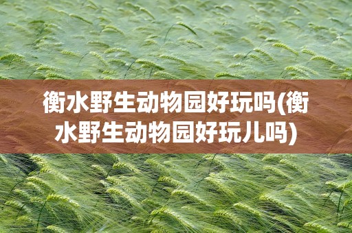 衡水野生动物园好玩吗(衡水野生动物园好玩儿吗)
