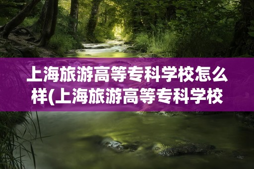 上海旅游高等专科学校怎么样(上海旅游高等专科学校怎么样知乎)