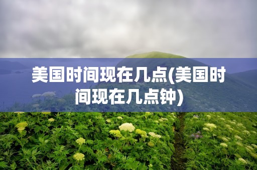 美国时间现在几点(美国时间现在几点钟)