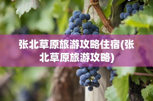 张北草原旅游攻略住宿(张北草原旅游攻略)