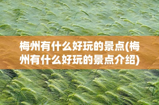 梅州有什么好玩的景点(梅州有什么好玩的景点介绍)