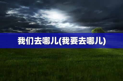 我们去哪儿(我要去哪儿)