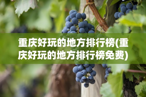 重庆好玩的地方排行榜(重庆好玩的地方排行榜免费)