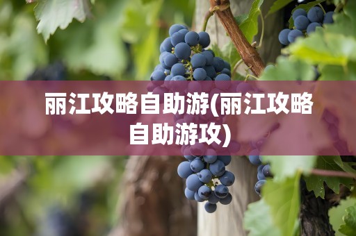 丽江攻略自助游(丽江攻略自助游攻)