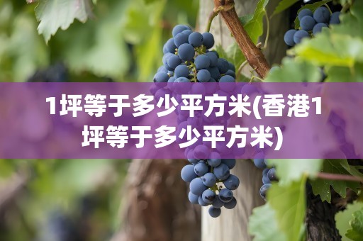 1坪等于多少平方米(香港1坪等于多少平方米)