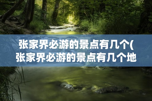 张家界必游的景点有几个(张家界必游的景点有几个地方)