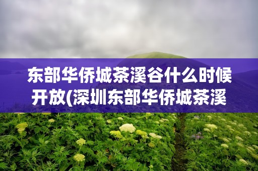 东部华侨城茶溪谷什么时候开放(深圳东部华侨城茶溪谷什么时候开放)